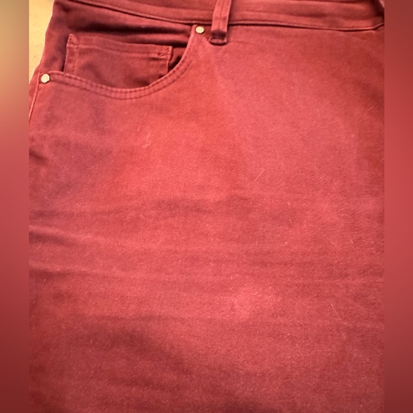 Ann Taylor Factory Burgundy Pants - Picture 7 of 9